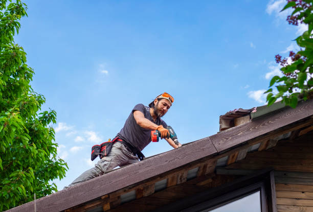 Best Roof Moss and Algae Removal  in Orangevale, CA
